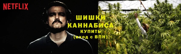 винт Арсеньев