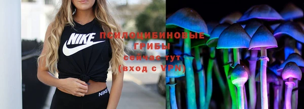 винт Арсеньев